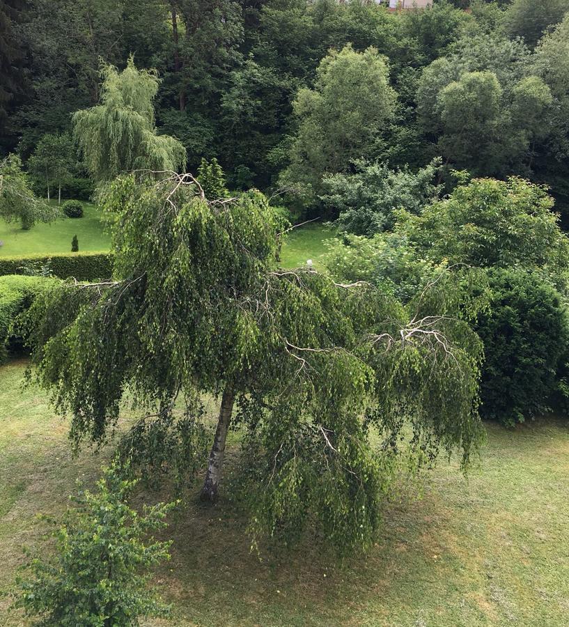 فندق Auszeit Am Eifelsteig داون المظهر الخارجي الصورة